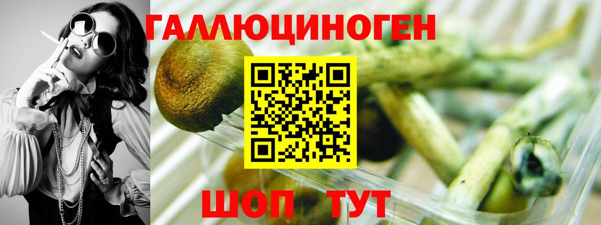 Псилоцибиновые грибы Magic Shrooms Кинель